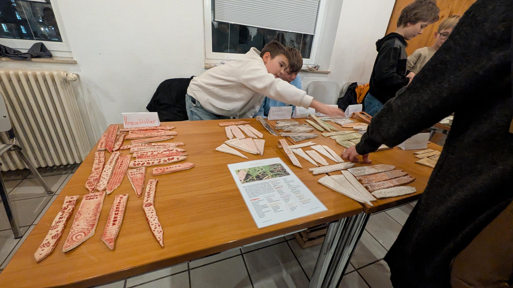 Präsentation des Themenkreises „Pflanzen“ in Klasse 6