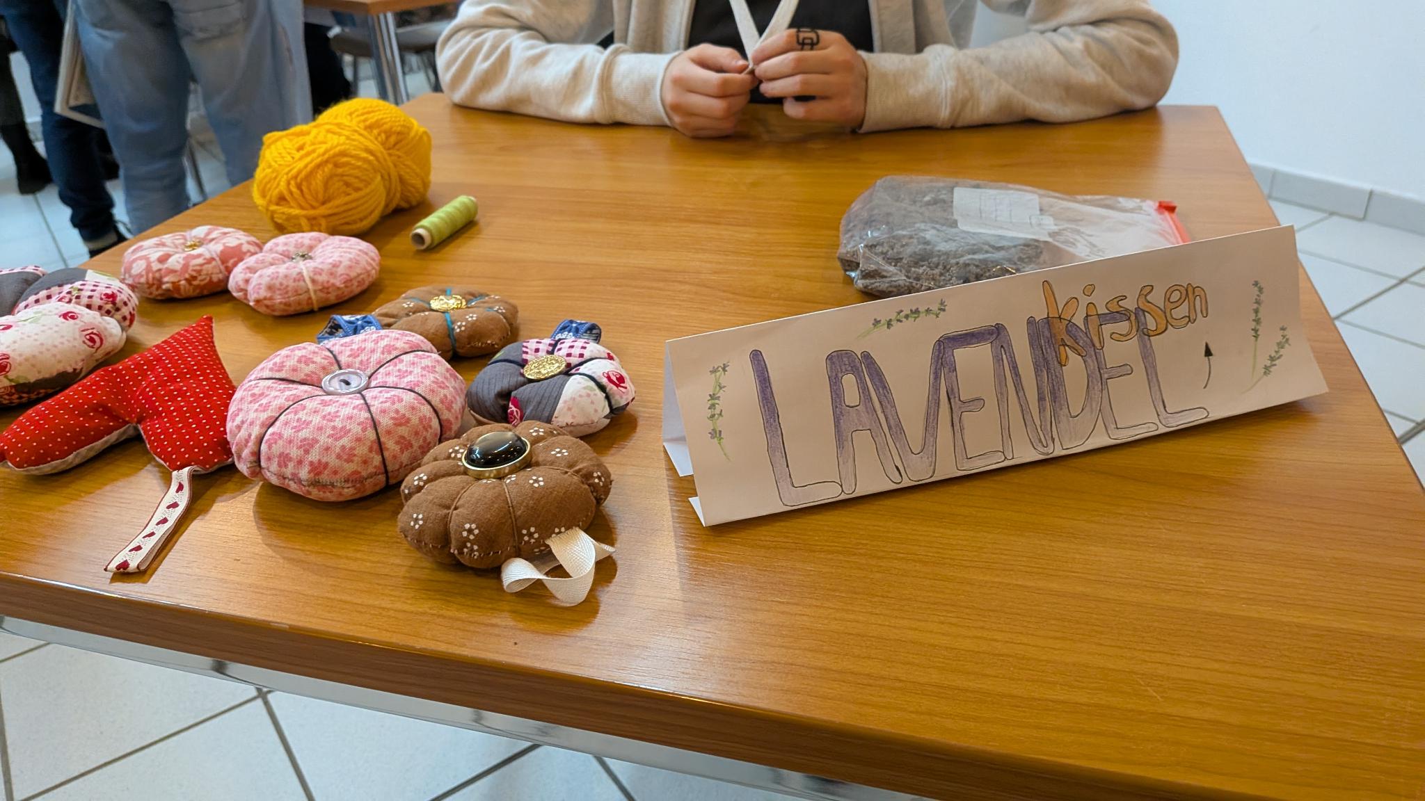 Präsentation des Themenkreises „Pflanzen“ in Klasse 6